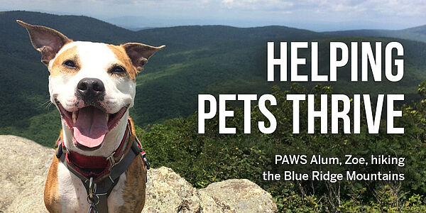 ENewsletter Header May 2019