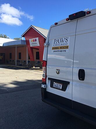 PAWS Chicago at Alachua County Humane Society