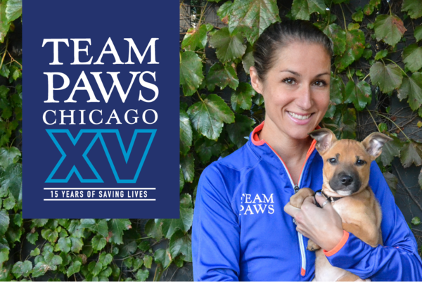 ENewsletter October TEAMPAWS 2019 01