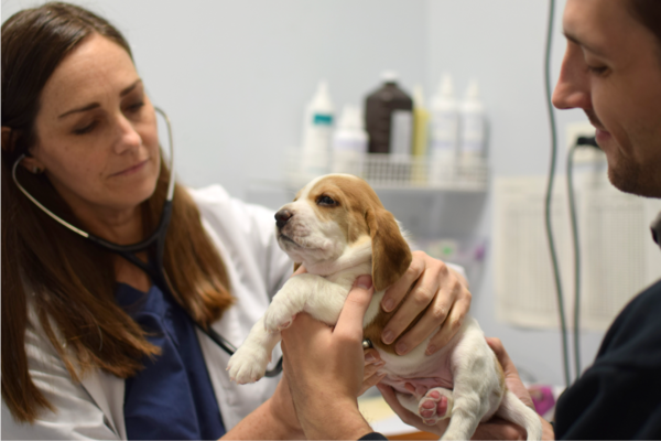 Lurie Clinic | PAWS Chicago
