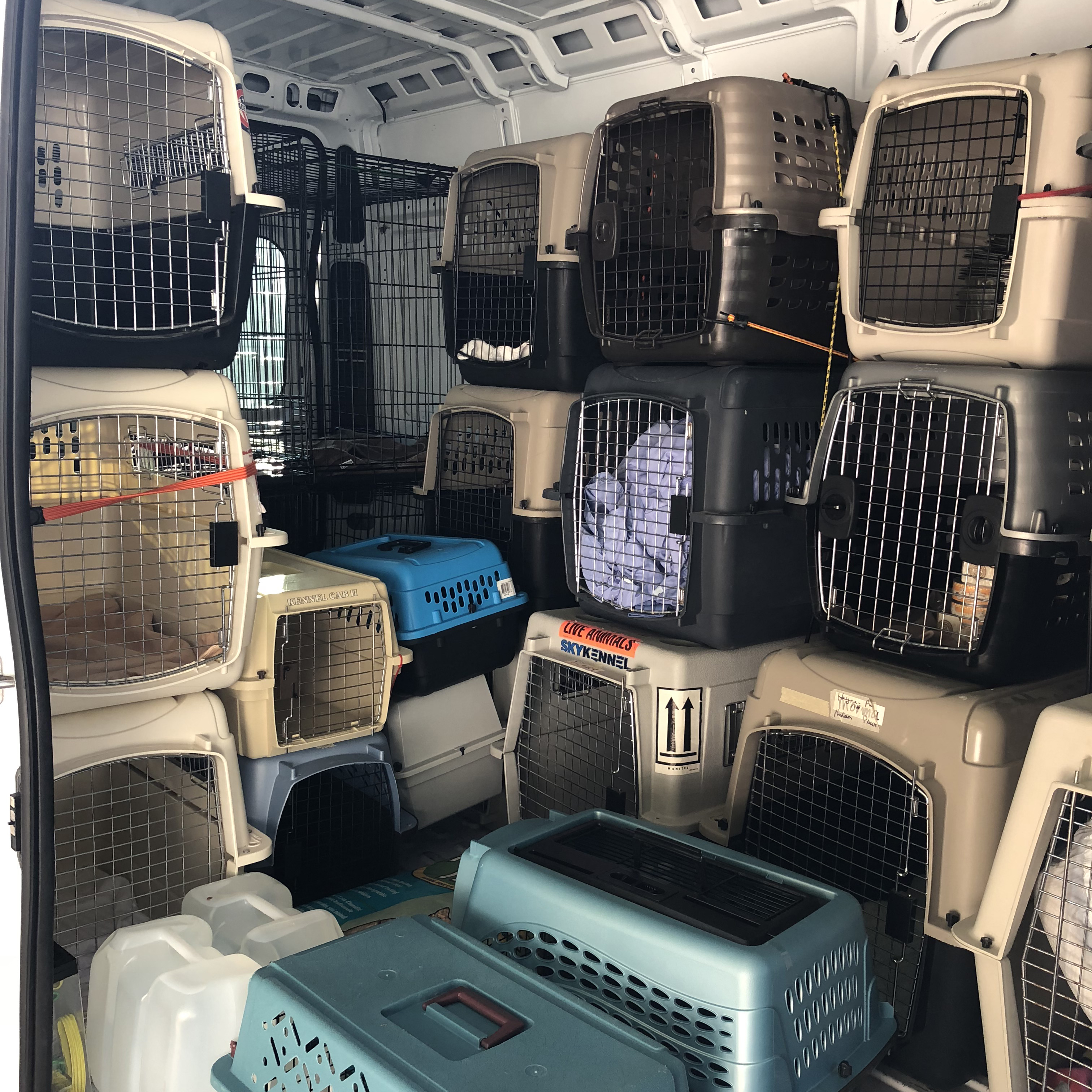 Hurricane Michael animal crates square