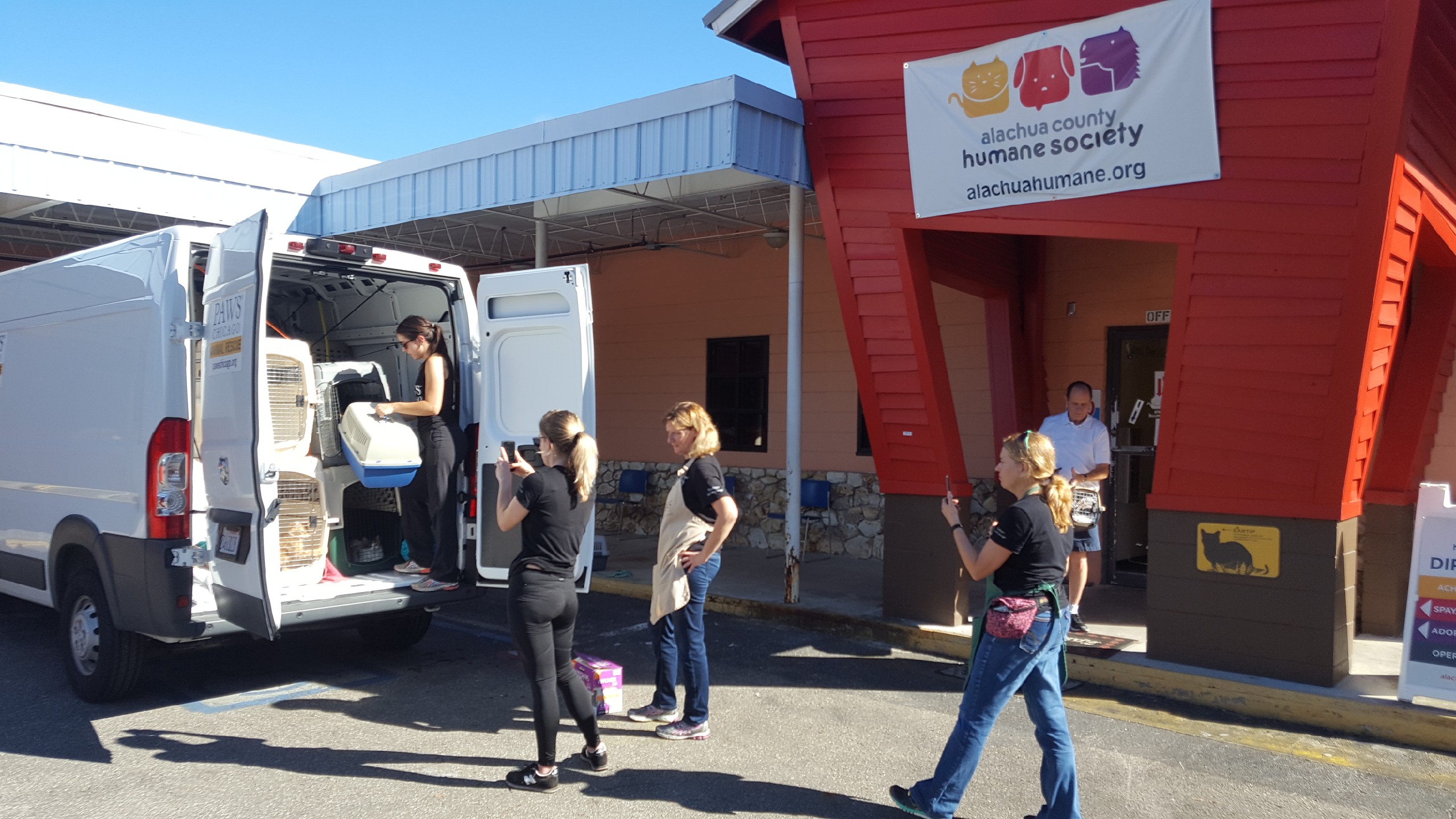PAWS Chicago loading animals from Alachua County Humane Society