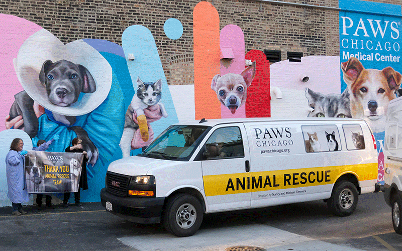 Ian Relief | PAWS Chicago
